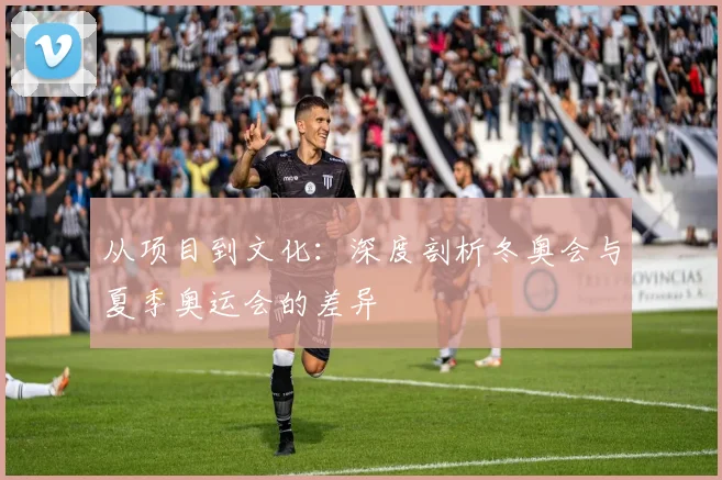 从项目到文化：深度剖析冬奥会与夏季奥运会的差异