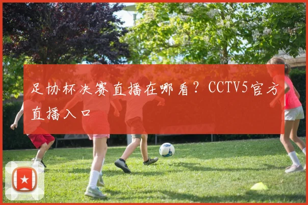 足协杯决赛直播在哪看？CCTV5官方直播入口