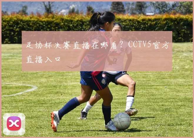 足协杯决赛直播在哪看？CCTV5官方直播入口